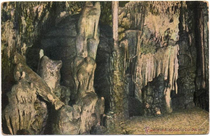 Postales: MANACOR CUEVAS DEL DRACH LA FOCA - Foto 1