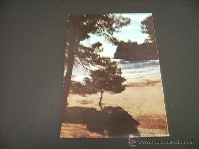 Postales: MENORCA     CALA  GALDANA - Foto 1