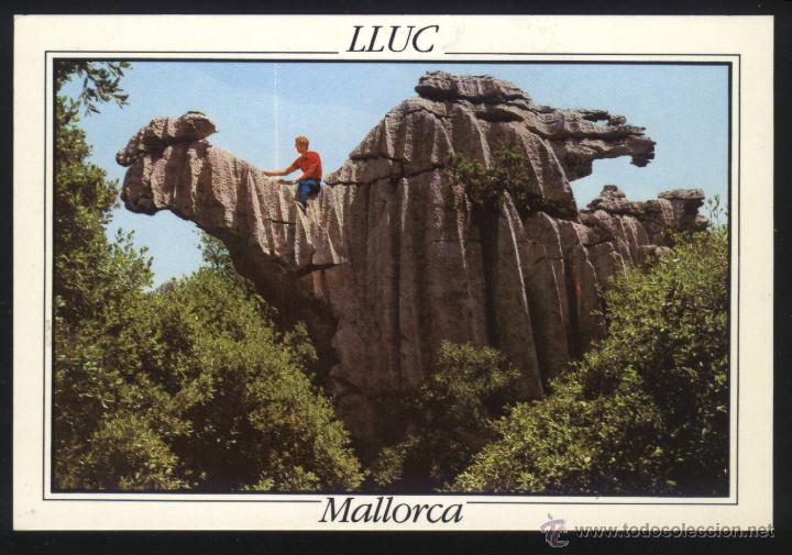 Postales: A-0610- MALLORCA. LLUC. EL CAMELLO. - Foto 1