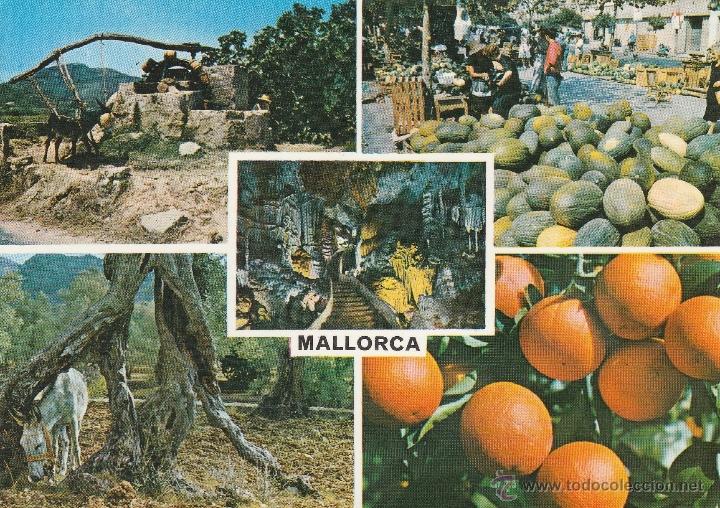 Postales: N&ordm; 13566 POSTAL MALLORCA - Foto 1