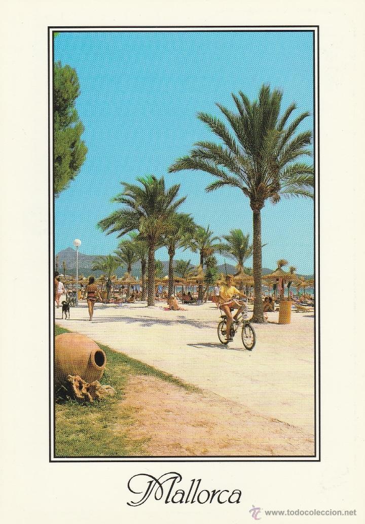 Postales: N&ordm; 13830 POSTAL ALCUDIA MALLORCA - Foto 1
