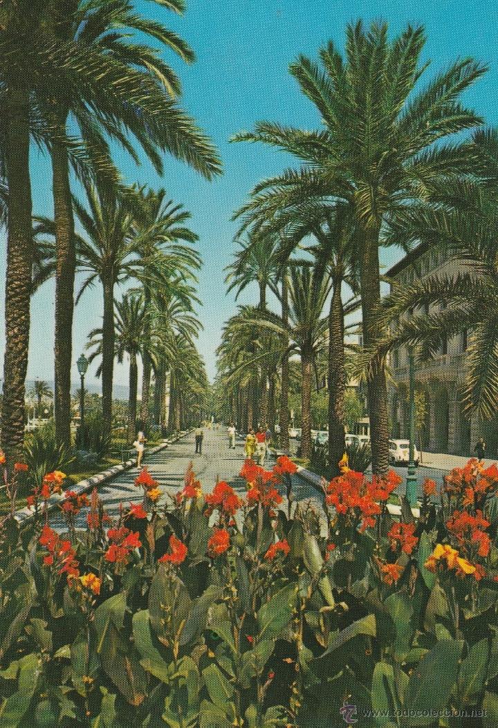 Postales: N&ordm; 16690 POSTAL MALLORCA PALMA - Foto 1