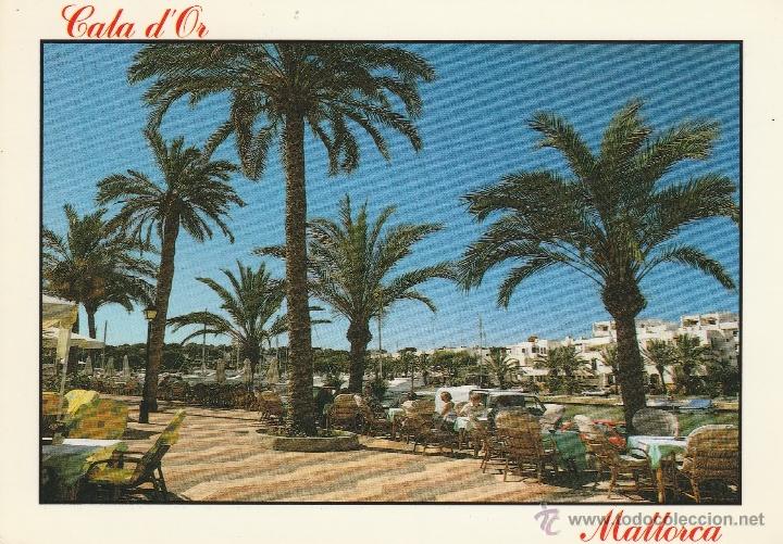 Postales: N&ordm; 17414 POSTAL MALLORCA CALA DOR - Foto 1