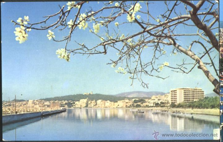 Postales: PALMA DE MALLORCA: - PASEO MARITIMO - Foto 1