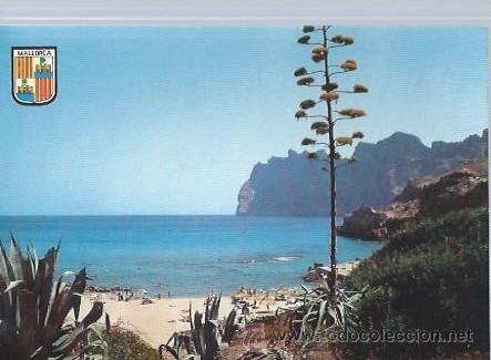 Cartoline: CALA SAN VICENTE MALLORCA, 5, POSTAL OSCAR COLOR