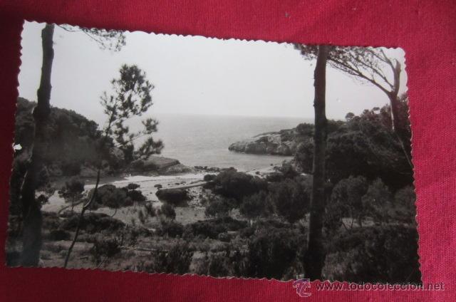 Postales: MENORCA -CALA ESCORXADA - Foto 1