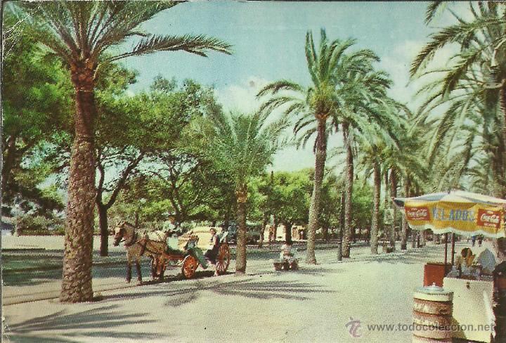 Postales: MALLORCA PASEO SAGRERA ESCRITA - Foto 1