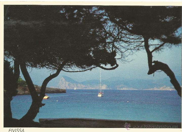 Postales: :::: D404 - POSTAL - IBIZA - CALA BASSA - Foto 1
