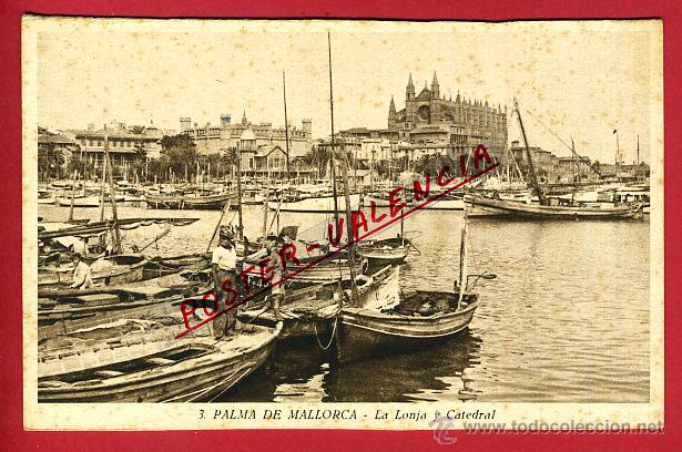 Postales: POSTAL MALLORCA, LA LONJA Y LA CATEDRAL, P97620 - Foto 1