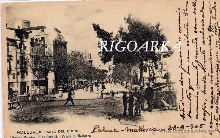 Postales: MALLORCA.- PASEO DEL BORNE - Foto 1