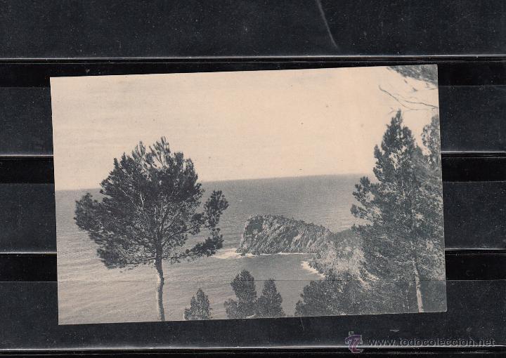 Postcards: ROCA, ARBOLES Y PAISAJE MARITIMO