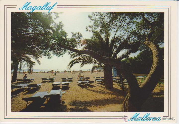 Postales: MALLORCA. MAGALLUF - Foto 1