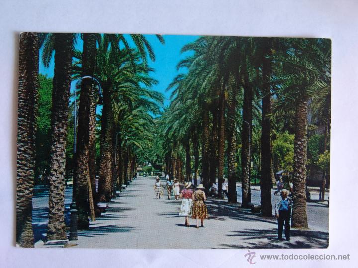 Postkarten: POSTAL DE PALMA DE MALLORCA PASEO DE SAGRERA