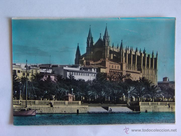 Postkarten: POSTAL DE PALMA DE MALLORCA CATEDRAL Y DESEMBARCADERO