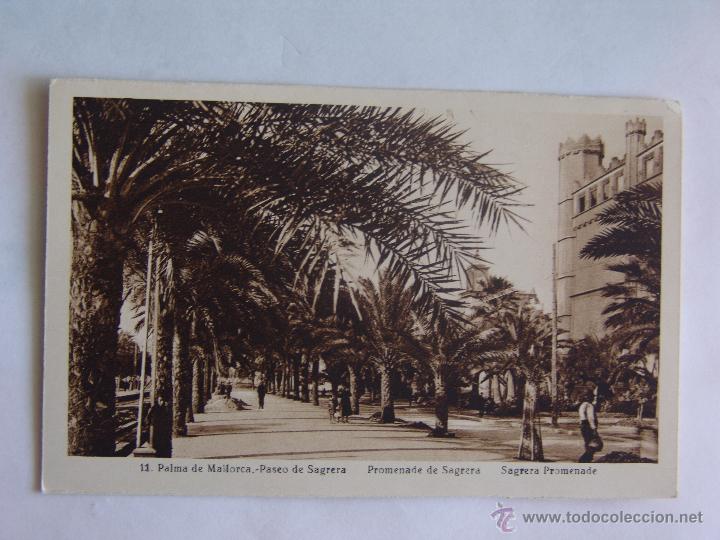 Postkarten: POSTAL DE PALMA DE MALLORCA PASEO DE SAGRERA