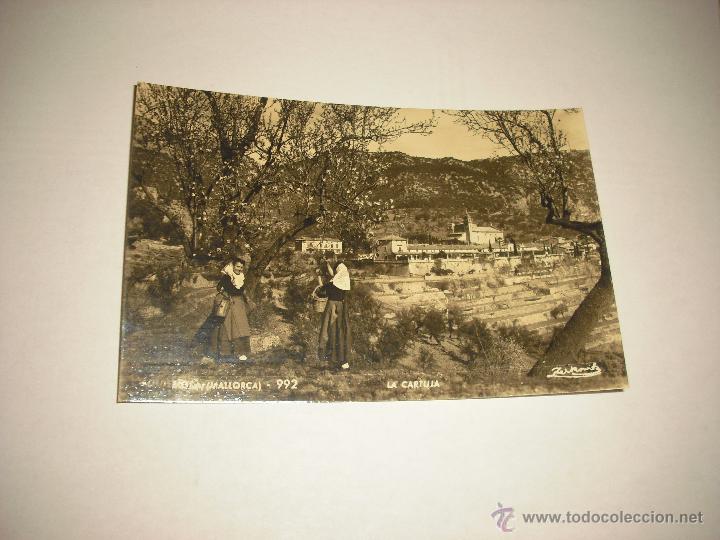 Postales: MALLORCA . LA CARTUJA 992 . ZERKOWITZ . CIRCULADA - Foto 1