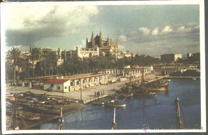 Postales: MALLORCA - CATEDRAL - Foto 1