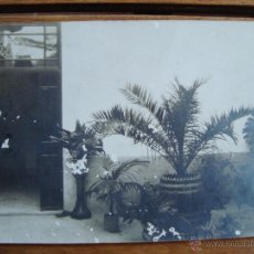 Postales: POSTAL FOTOGRÁFICA. PUERTA COLEGIO LA PUREZA. PALMA DE MALLORCA. CIRCULADA EN 1920. DIVIDIDA.. Lote 52821994