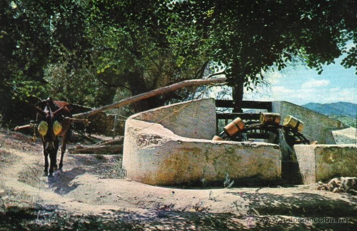 Postales: IBIZA NORIA - Foto 1