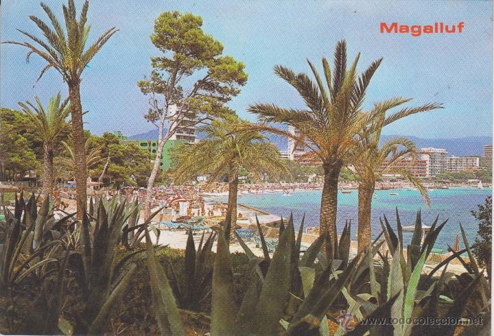Postales: (3132) MALLORCA. MAGALLUF - Foto 1