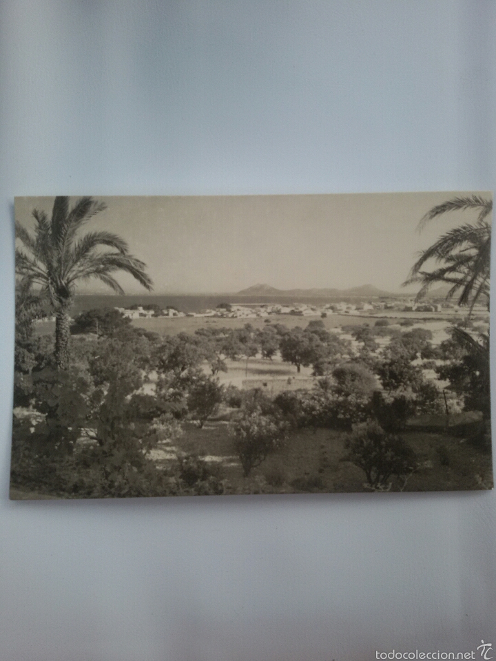 Cartes Postales: TARJETA POSTAL NESCRITA / MALLORCA-5033 / POLLENSA.Vista parcial #0738