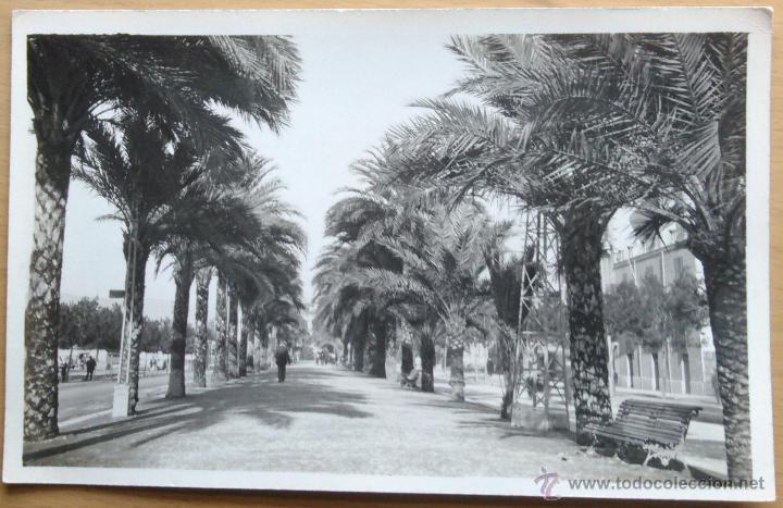 Postales: PALMA DE MALLORCA: - PASEO SEGRERA - Foto 1