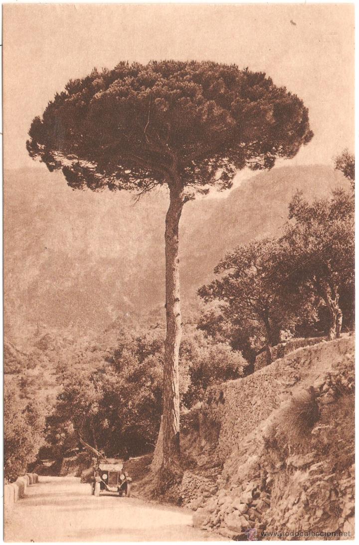 Postales: MALLORCA CARRETERA DEY&Aacute; - Foto 1