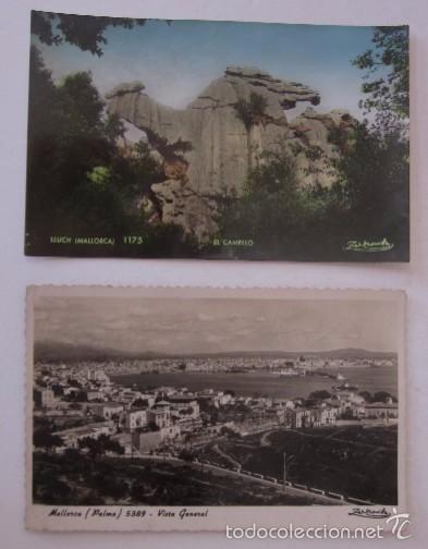 Postales: DOS POSTALES DE MALLORCA - ED. FOT. ZERKOWITZ - Foto 1