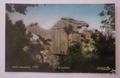 Postales: DOS POSTALES DE MALLORCA - ED. FOT. ZERKOWITZ - Foto 2