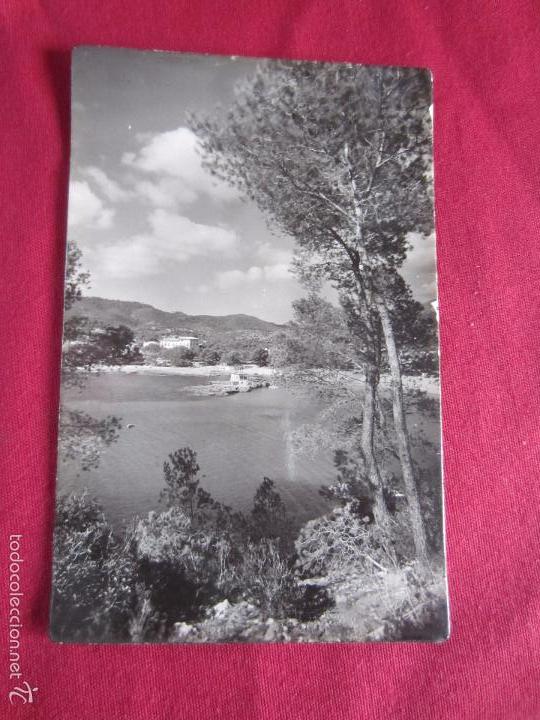 Postales: MALLORCA - CAMP DE MAR - Foto 1