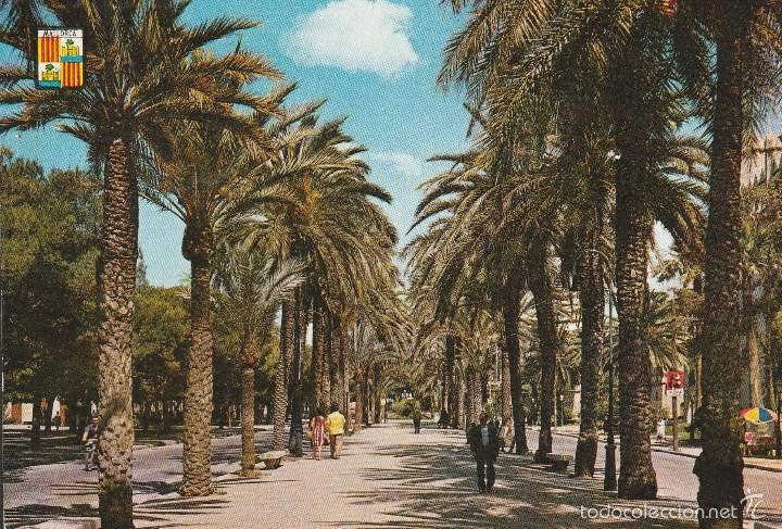 Postales: N&ordm; 26305 POSTAL MALLORCA - Foto 1