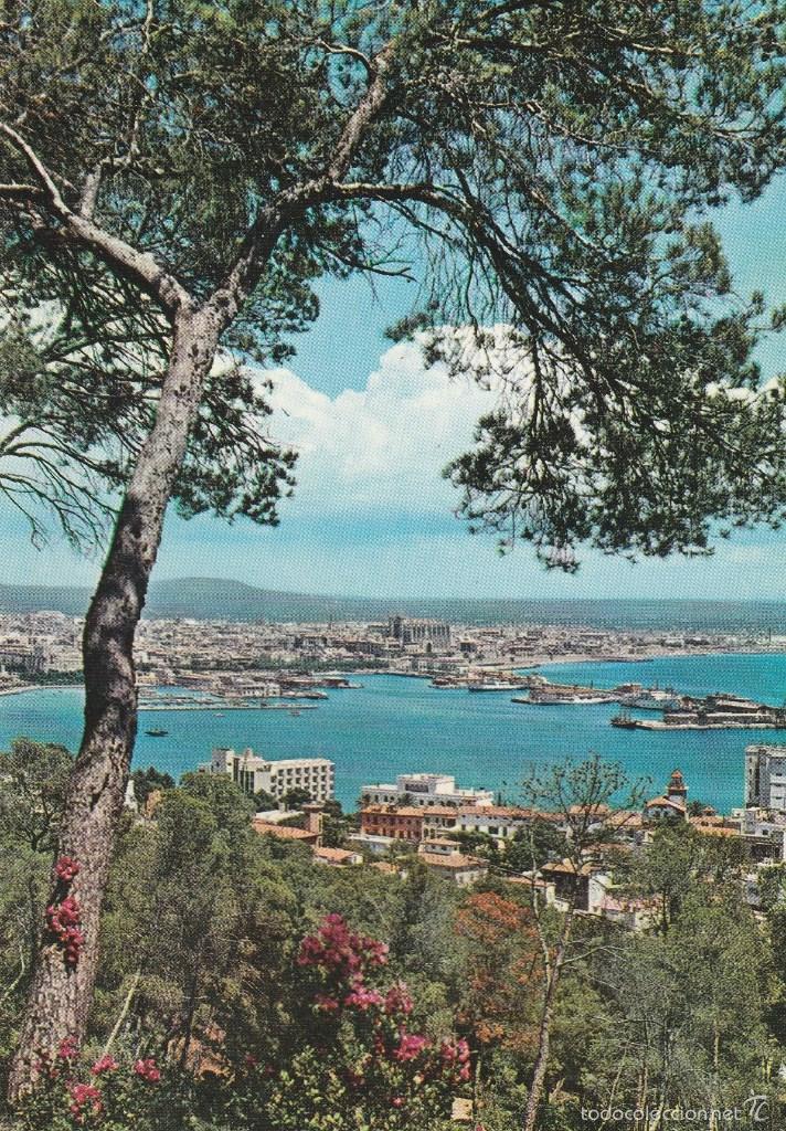 Postales: N&ordm; 26366 POSTAL MALLORCA PALMA - Foto 1