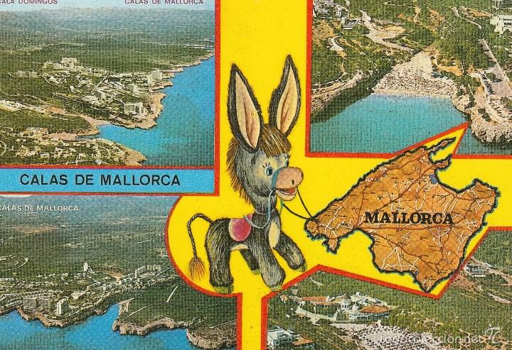Postales: N&ordm; 25522 POSTAL MALLORCA - Foto 1