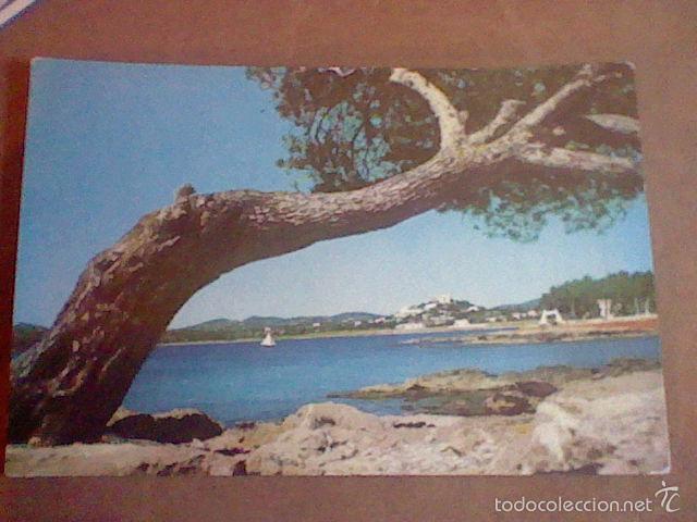 Postales: sta eulalia del Rio Ibiza Baleares serie II n&ordm; 3664 circulada fotografia Campa&ntilde;a y Puig Ferran