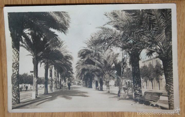 Postales: MALLORCA - PASEO DE SAGRERA - Foto 1