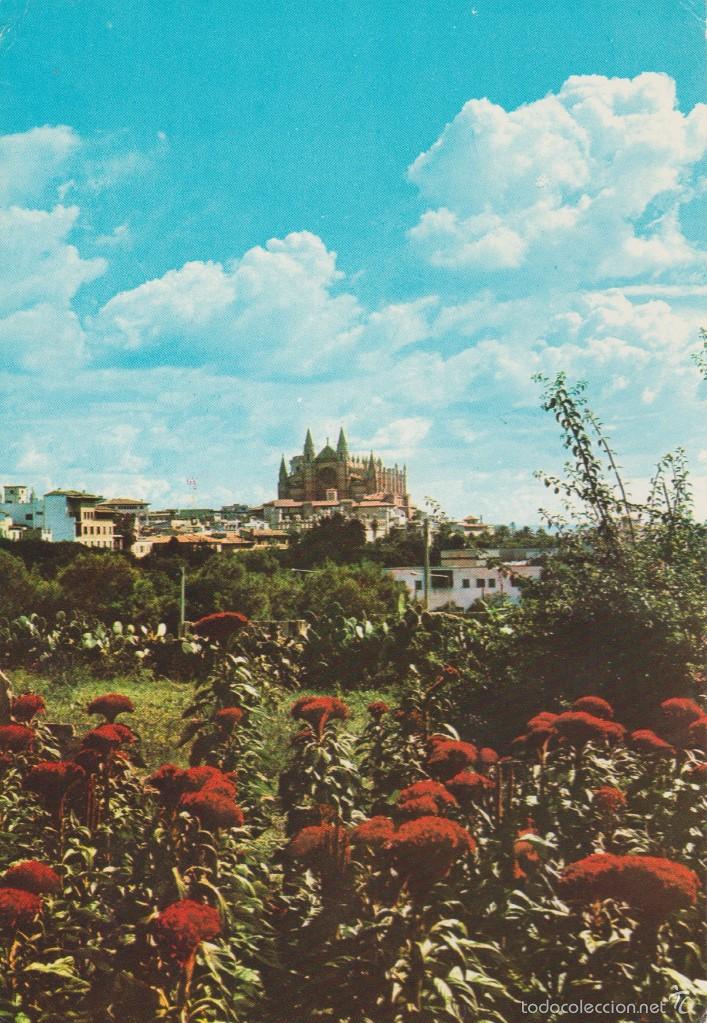 Postales: (329) MALLORCA. PALMA. LA CATEDRAL - Foto 1