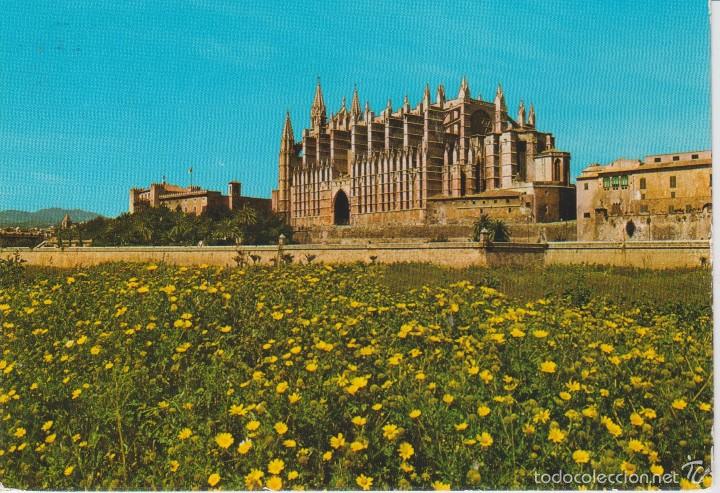 Postales: (25) MALLORCA. PALMA. CATEDRAL - Foto 1