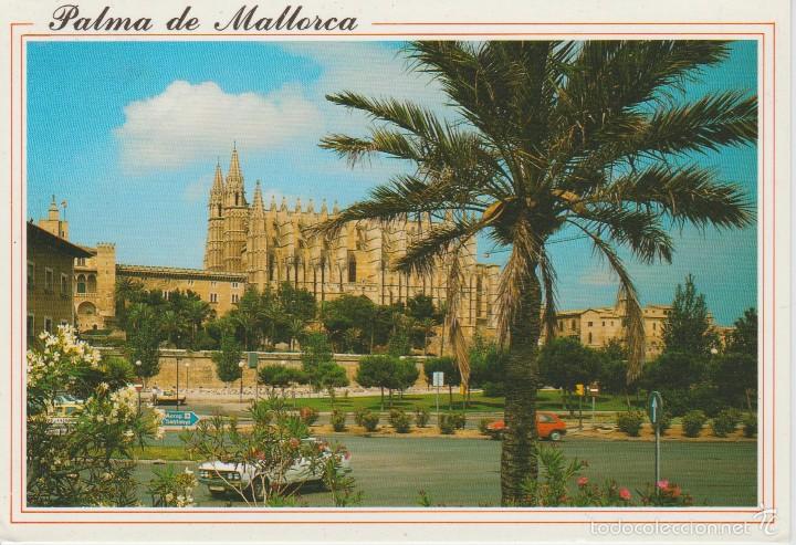 Postales: (1009) MALLORCA. PALMA. LA CATEDRAL - Foto 1