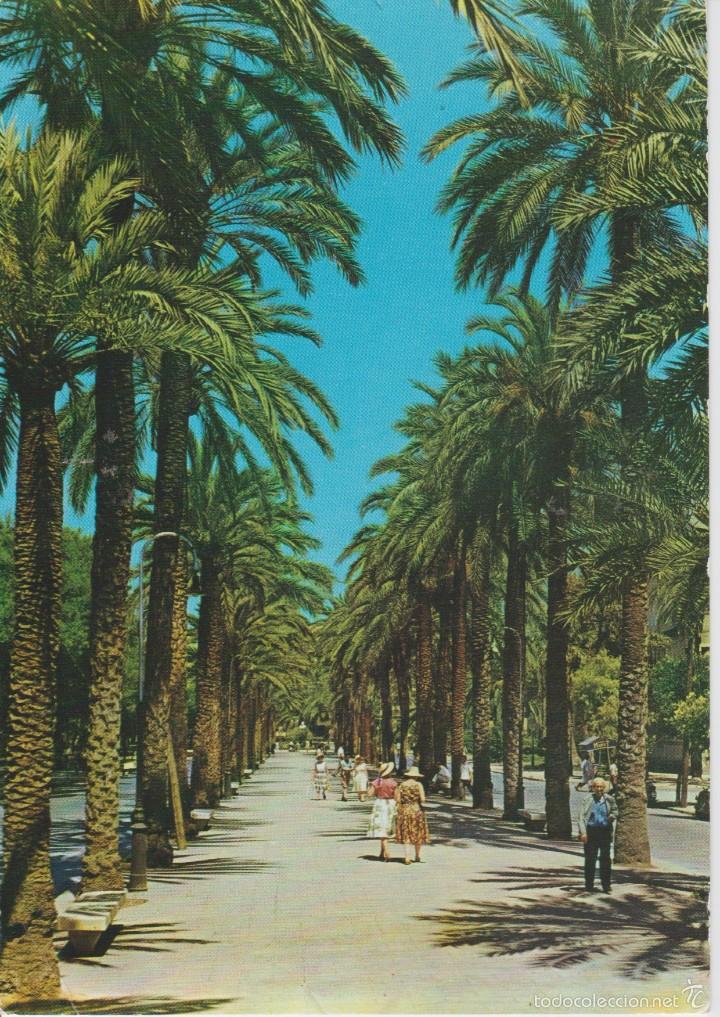 Postales: MALLORCA. PASEO DE SAGRERA - Foto 1
