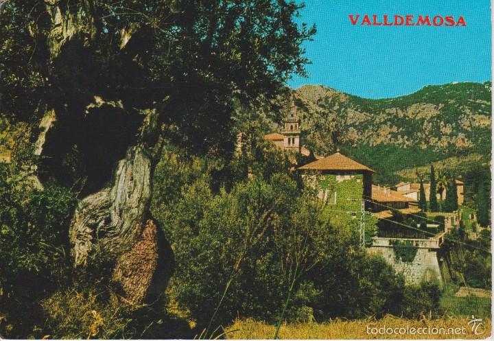 Postales: (612) MALLORCA. VALLDEMOSA - Foto 1