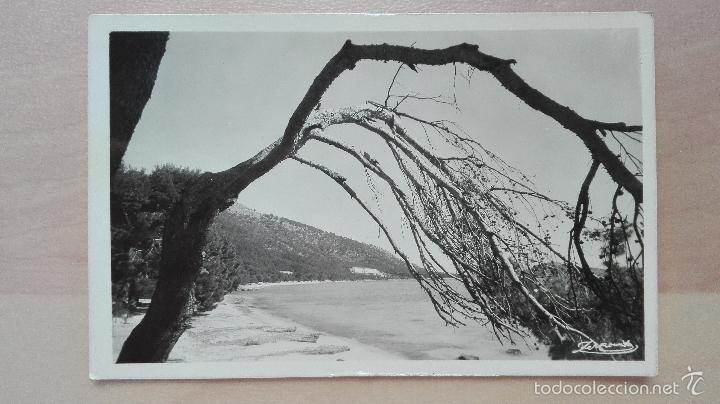 Postales: POSTAL MALLORCA FORMENTOR PLAYA. ZERKOWITZ SIN CIRCULAR - Foto 1