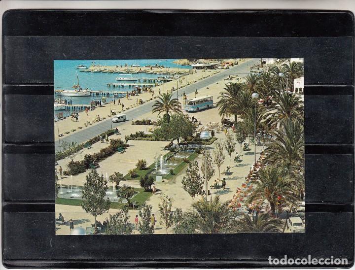 Postales: 360 - SAN ANTONIO. PASEO DE LAS PALMERAS
