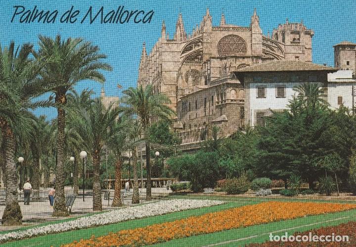 Cartes Postales: N&ordm; 27481 POSTAL PALMA DE MALLORCA