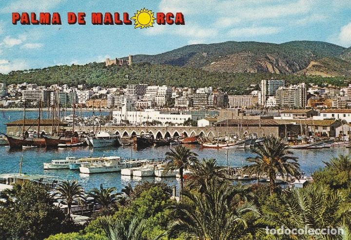Cartes Postales: N&ordm; 27476 POSTAL PALMA DE MALLORCA