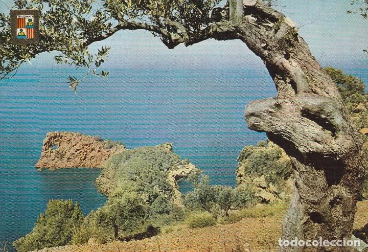 Postales: N&ordm; 27449 POSTAL MALLORCA DEYA - Foto 1