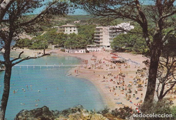 Postales: N&ordm; 27416 POSTAL CAMP DE MAR MALLORCA - Foto 1