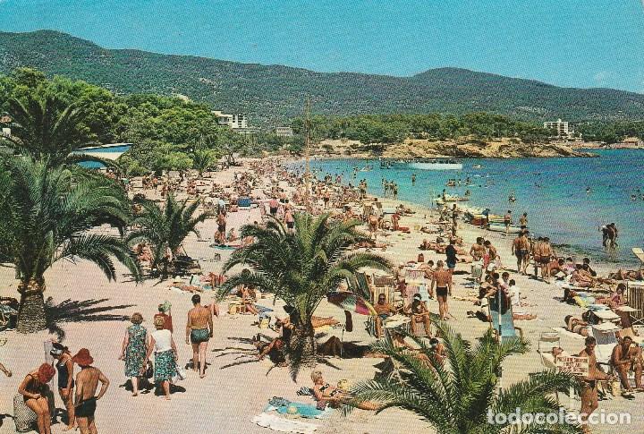 Postales: N&ordm; 27516 POSTAL PALMA NOVA MALLORCA - Foto 1