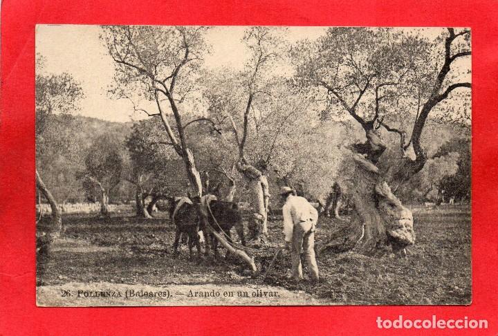Postales: pollensa. 26 arando un olivar - Foto 1