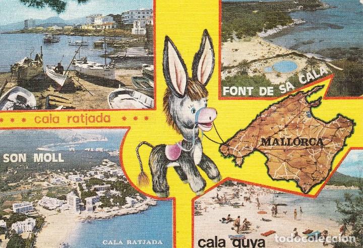 Postales: N&ordm; 28784 POSTAL CALA RATJADA MALLORCA