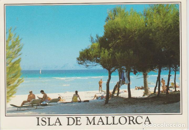 Postales: (121) MALLORCA. ALCUDIA - Foto 1